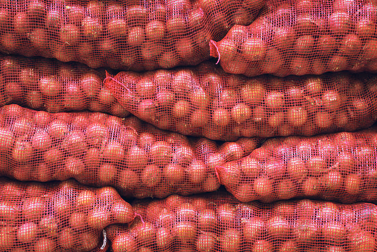 ሽንኩርት